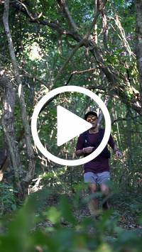 BIB:  <button type="button" onclick="openModal(28056594)" class="btn btn-primary btn-sm float-right" data-toggle="modal" data-target=".modal-high-quality">
                <i class="fa fa-download"></i> Download
                </button>